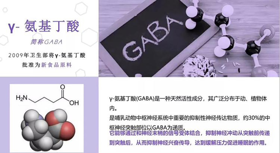 GABA.jpg